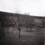 Jardin d'hiver en Bourgogne