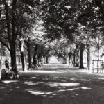 Allée du parc des Bastions, Genève