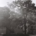 Contrejour à Genève