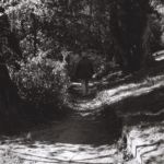 Promeneuse sur le sentier au bord de l'Arve, Genève