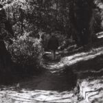 Promeneuse sur le sentier au bord de l'Arve, Genève