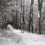 Jeune fille descendant vers le Rhône, à Onex