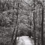 Sentier vers le Rhône, à Onex