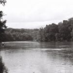 Le Rhône au niveau du débarcadère d'Onex, direction Chancy