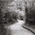 Route dans le parc des Évaux, Onex