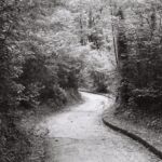 Route dans le parc des Évaux, Onex