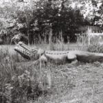 Scuplture de crocodile dans le parc Brot, Onex