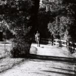 Cavalière dans le parc Brot, Onex