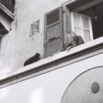 Jeune femme et chat à la fenêtre, Genève