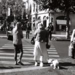 Attente au passage piéton, Genève