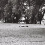 Homme couché dans l'herbe, parc des Bastions, Genève