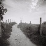 De l'Aire vers le parc de la mairie, Onex