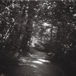 Sentier de l'Aire, à Onex