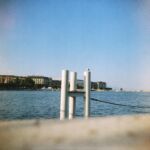 Le quai du Mont-Blanc et une mouette, vus de la rambarde du Jardin Anglais, à Genève.