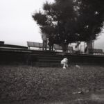 Bains des Pâquis, Genève