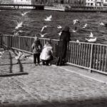 Ils avaient gardé le pain dur, ou le pain trop mou, celui qu’on ne mange pas. Dans un grand sac, “pour les oiseaux”. Et puis quand le sac a été assez plein, ils sont allés au bord du lac. Pour voir les cygnes, les oies, les canards. Ceux qui passent l’hiver sur le Léman, qui sont friands de ce pain qui leur fait du mal. Mais les grands oiseaux ne sortent pas quand souffle la bise. Ils restent cachés, protégés. Seules les mouettes sont assez courageuses, assez folles, pour sortir. Ces jours-là, le lac et la rade leur appartiennent, et elles surfent sur le vent, comme un rappel de l’océan.
Ils n’ont pas vu les cygnes, les oies, les canards. Mais ils avaient fait le déplacement. Alors ils ont nourri les mouettes.